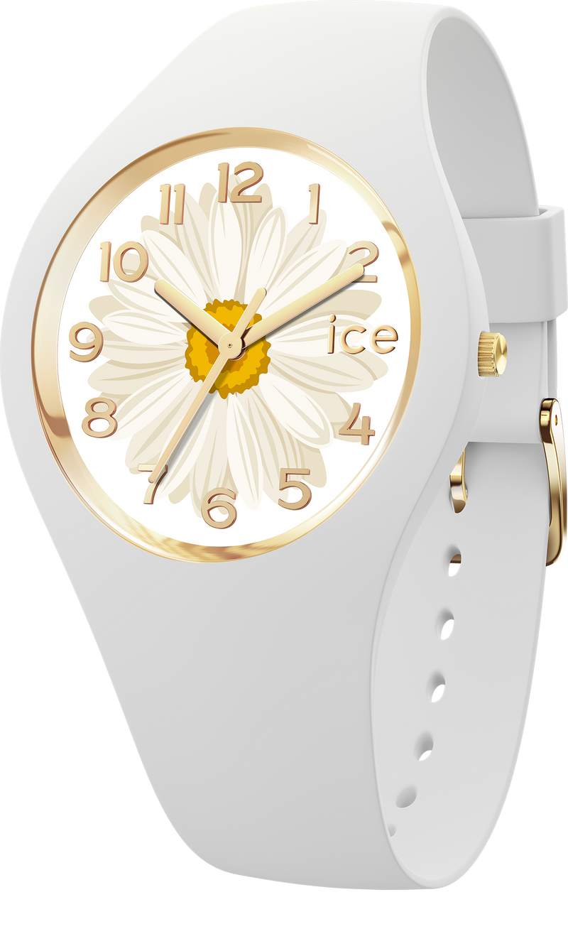 ICE flower 2023｜Sunlight daisy（S+）
