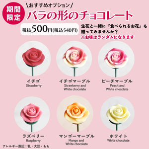 <オプション>ベルローズ1輪